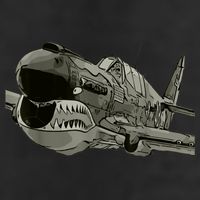 P40 Warhawk Fighter Aircraft WW2 Plane Spotting Spotter Tumbler