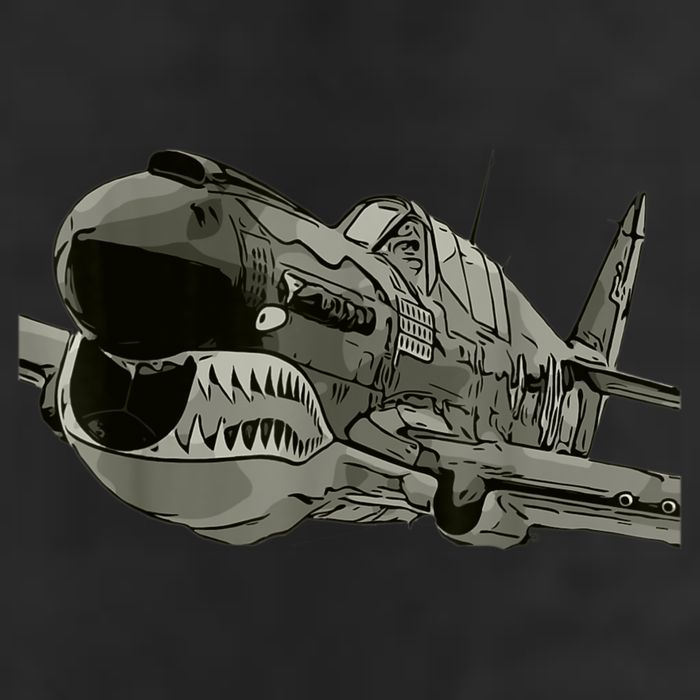 P40 Warhawk Fighter Aircraft WW2 Plane Spotting Spotter Tumbler