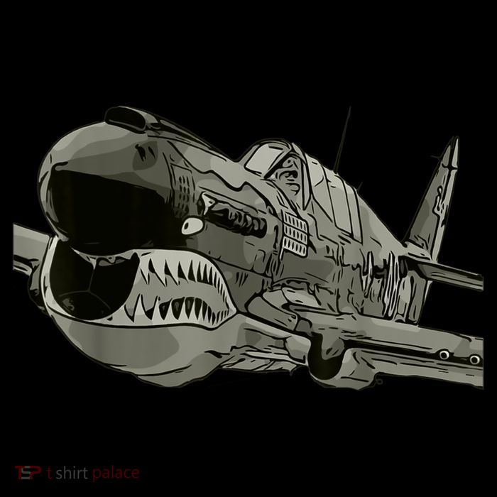 P40 Warhawk Fighter Aircraft WW2 Plane Spotting Spotter Toddler Sweatshirt