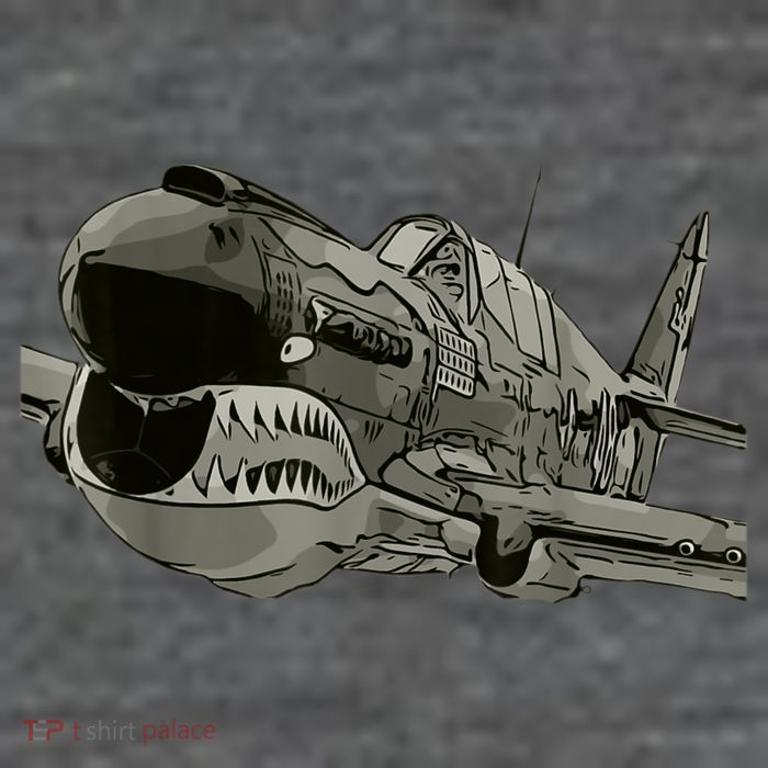 P40 Warhawk Fighter Aircraft WW2 Plane Spotting Spotter Magnet