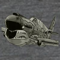 P40 Warhawk Fighter Aircraft WW2 Plane Spotting Spotter Poster