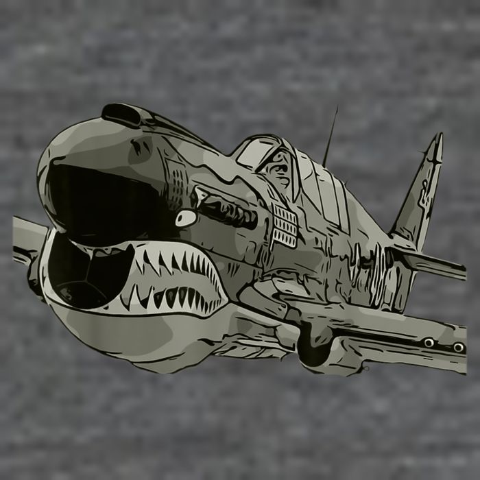 P40 Warhawk Fighter Aircraft WW2 Plane Spotting Spotter Poster