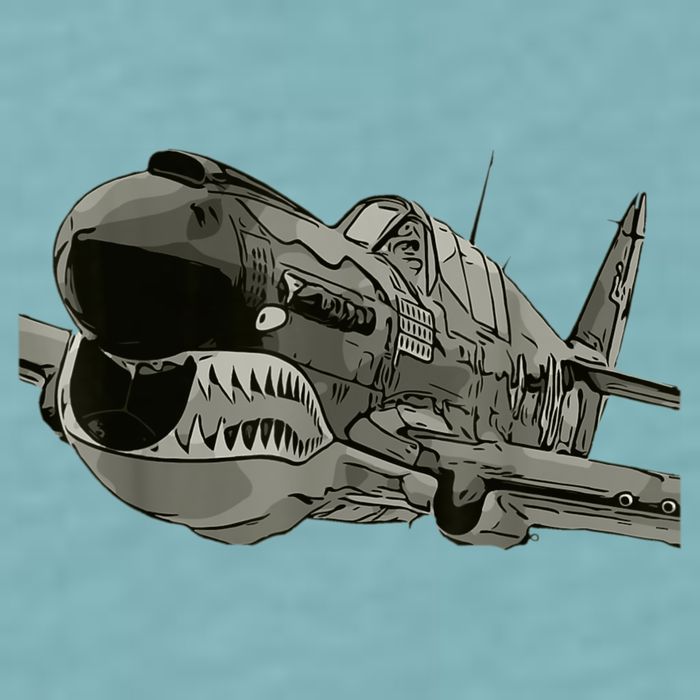 P40 Warhawk Fighter Aircraft WW2 Plane Spotting Spotter Sueded Cloud Jersey T-Shirt