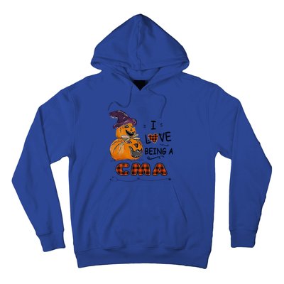 Pumpkin Witch Hats Snow I Love Beings A Cma Halloween Gift Hoodie