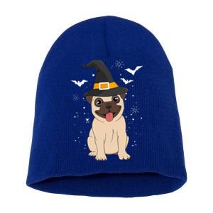 Pug Witch Halloween Dog Puppy Outfit Costume Trick Or Treat Short Acrylic Beanie