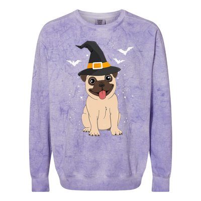 Pug Witch Halloween Dog Puppy Outfit Costume Trick Or Treat Colorblast Crewneck Sweatshirt