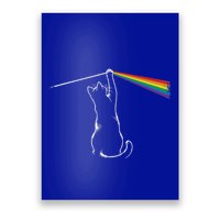 Playing With Light Cat Poster