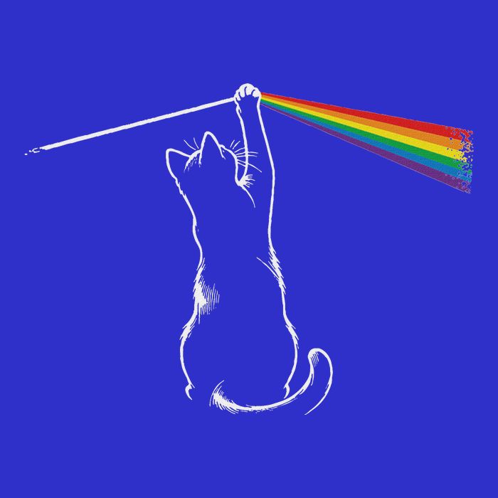 Playing With Light Cat Poster