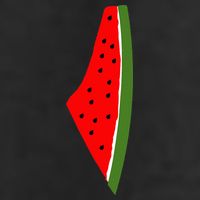 Palestine Watermelon Map Cool Comfort Performance Bucket Hat