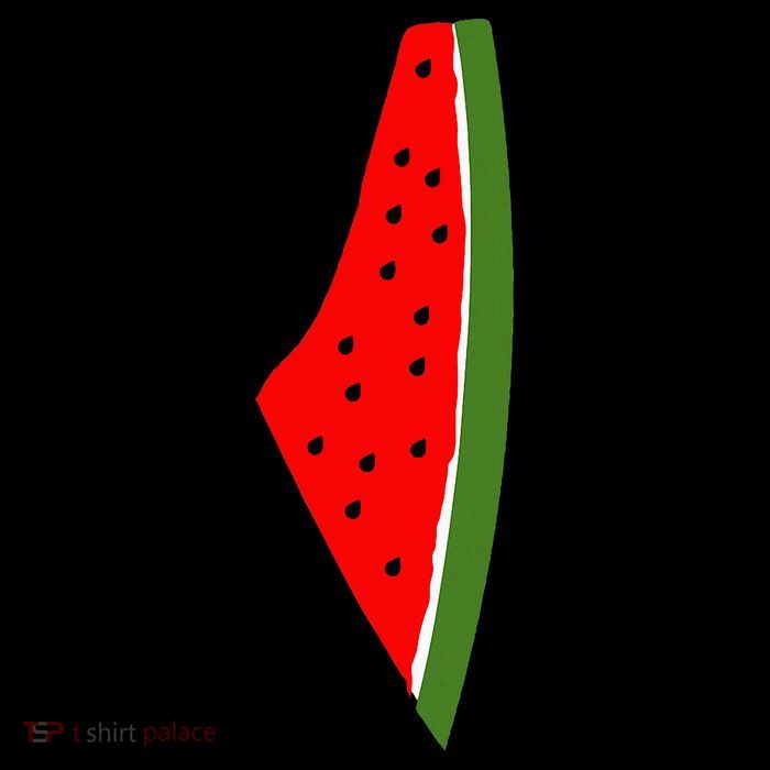 Palestine Watermelon Map City Backpack