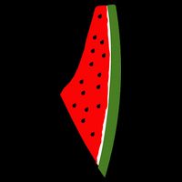 Palestine Watermelon Map 16 in Basic Backpack