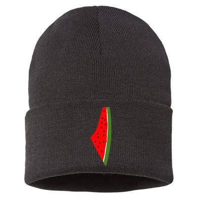 Palestine Watermelon Map Sustainable Knit Beanie