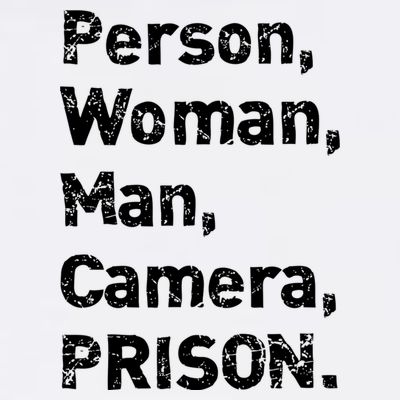 Person, Woman, Man, Camera, PRISON T-Shirt