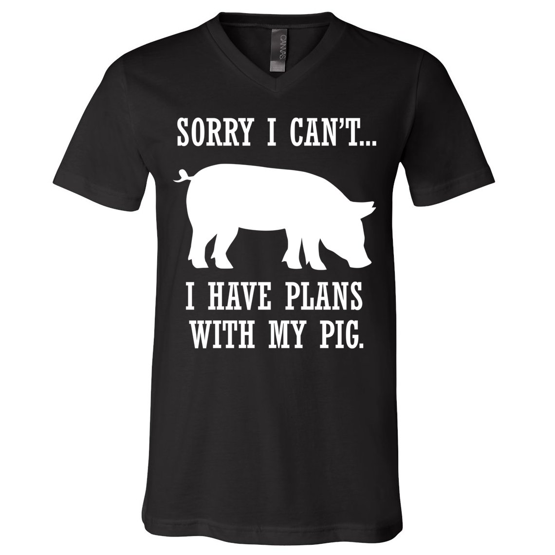 Plans With My Pig Ironic Farmer Pork Gift V-Neck T-Shirt