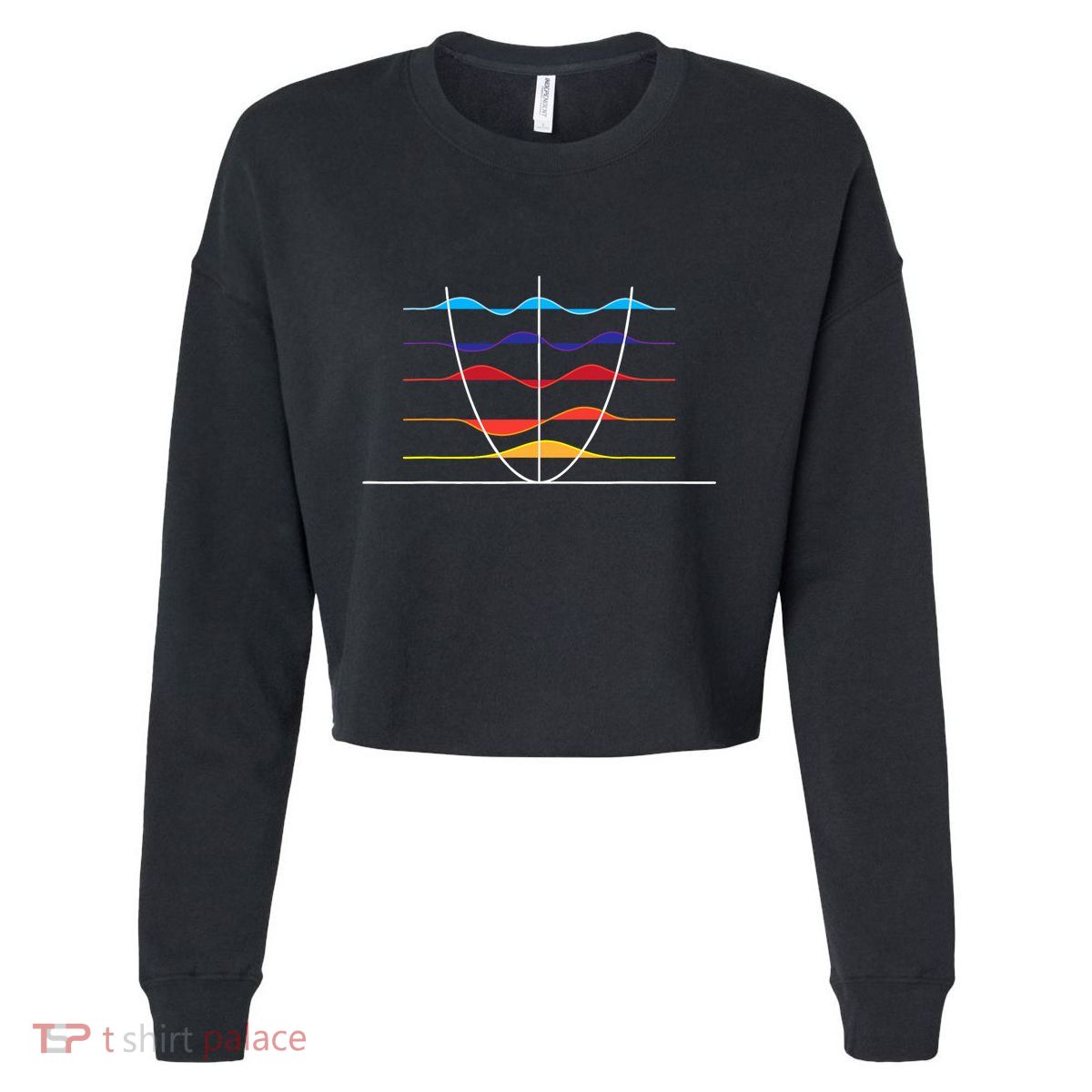 Physics Wave Overlay Waves Astrophysics Physics Cropped Pullover Crew