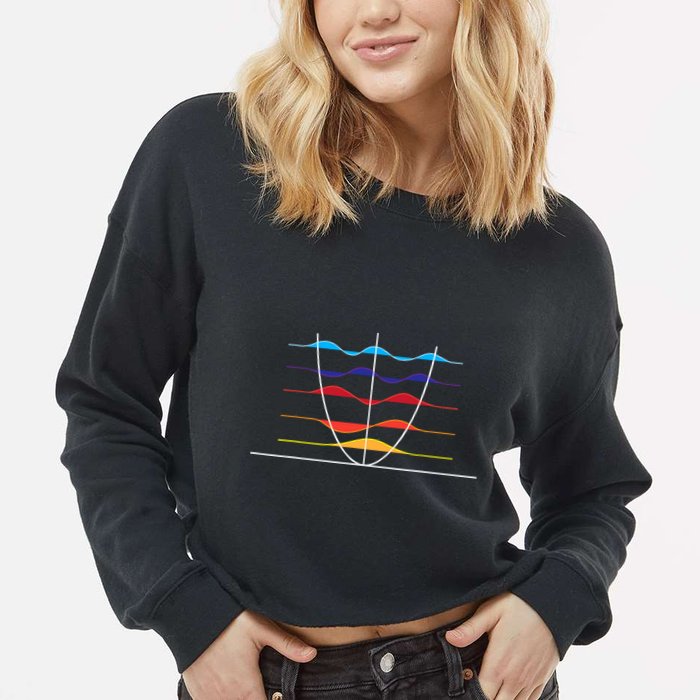Physics Wave Overlay Waves Astrophysics Physics Cropped Pullover Crew