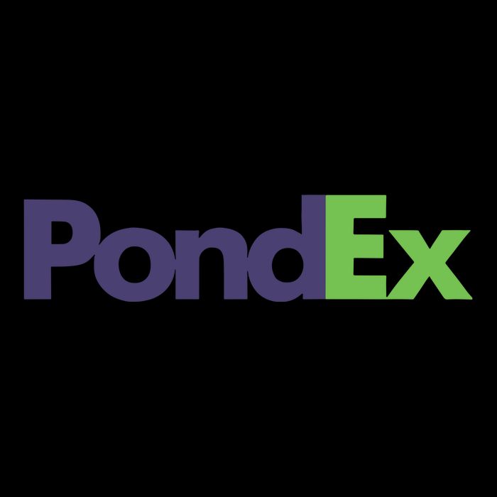 Pauly Wearing Pondex 16oz Travel Tumbler