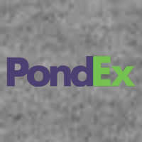 Pauly Wearing Pondex Tall Sweatshirt