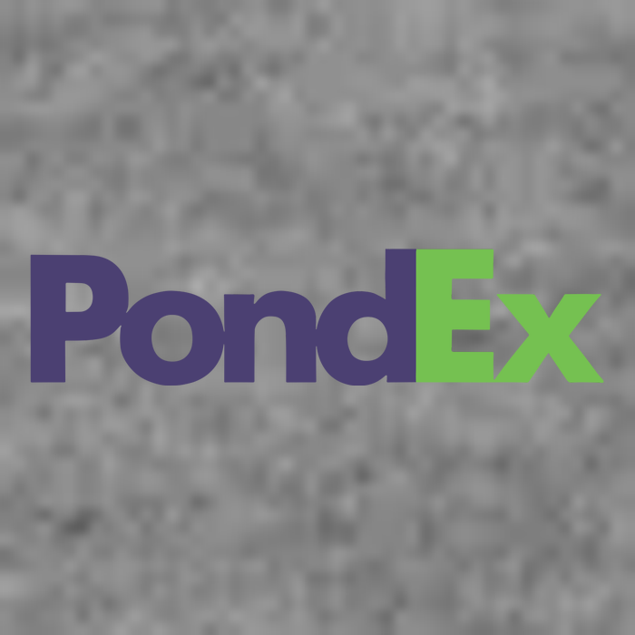 Pauly Wearing Pondex Tall Sweatshirt