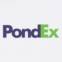 Pauly Wearing Pondex Button
