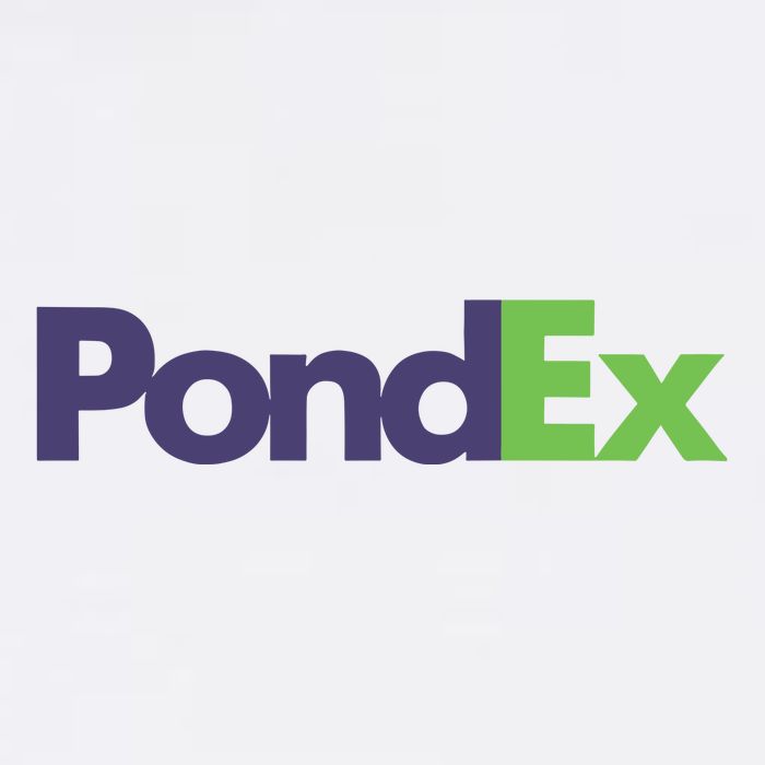 Pauly Wearing Pondex Button