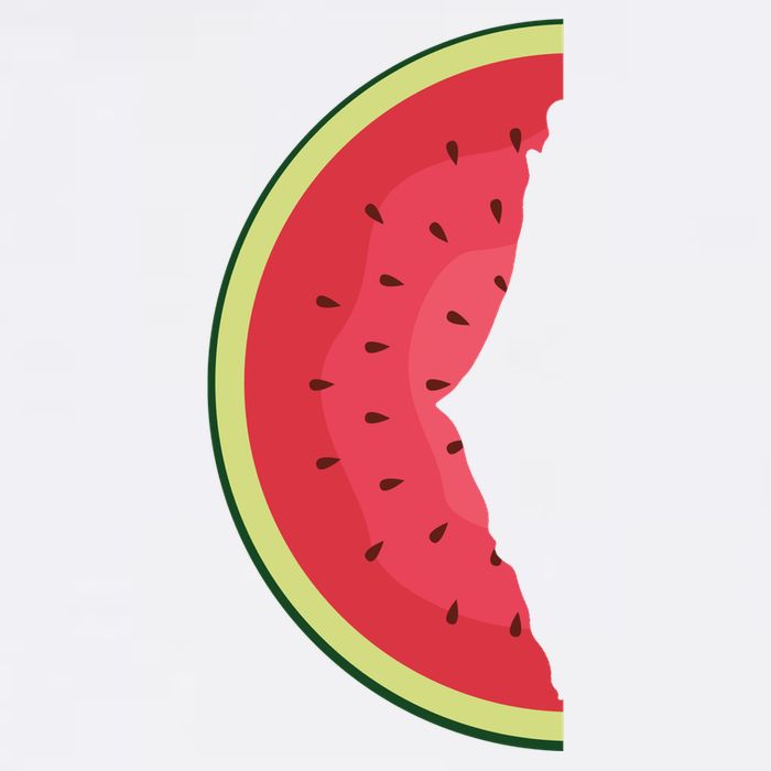 Palestine Watermelon Adult Drive Performance Visor