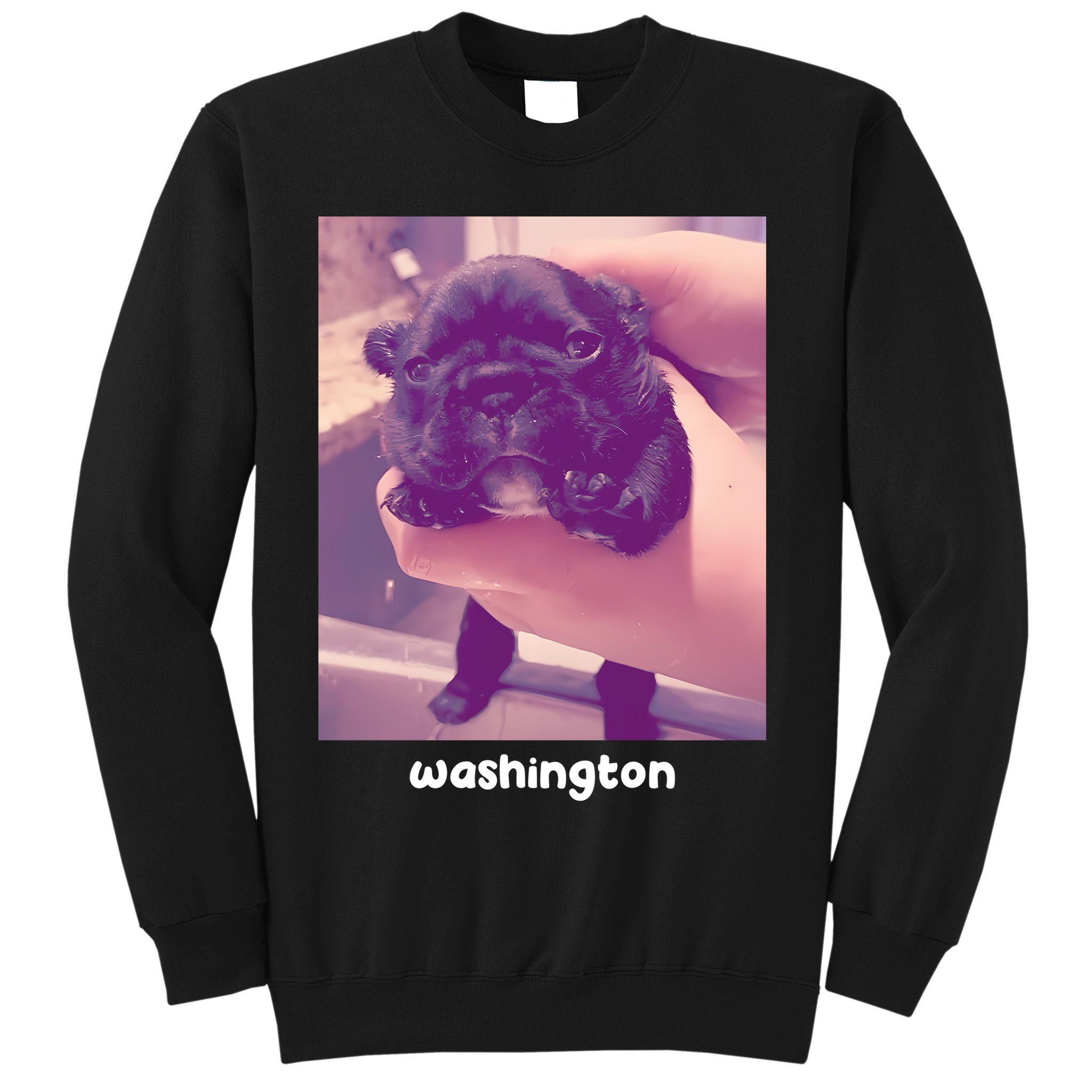 Pibble Washington Sweatshirt