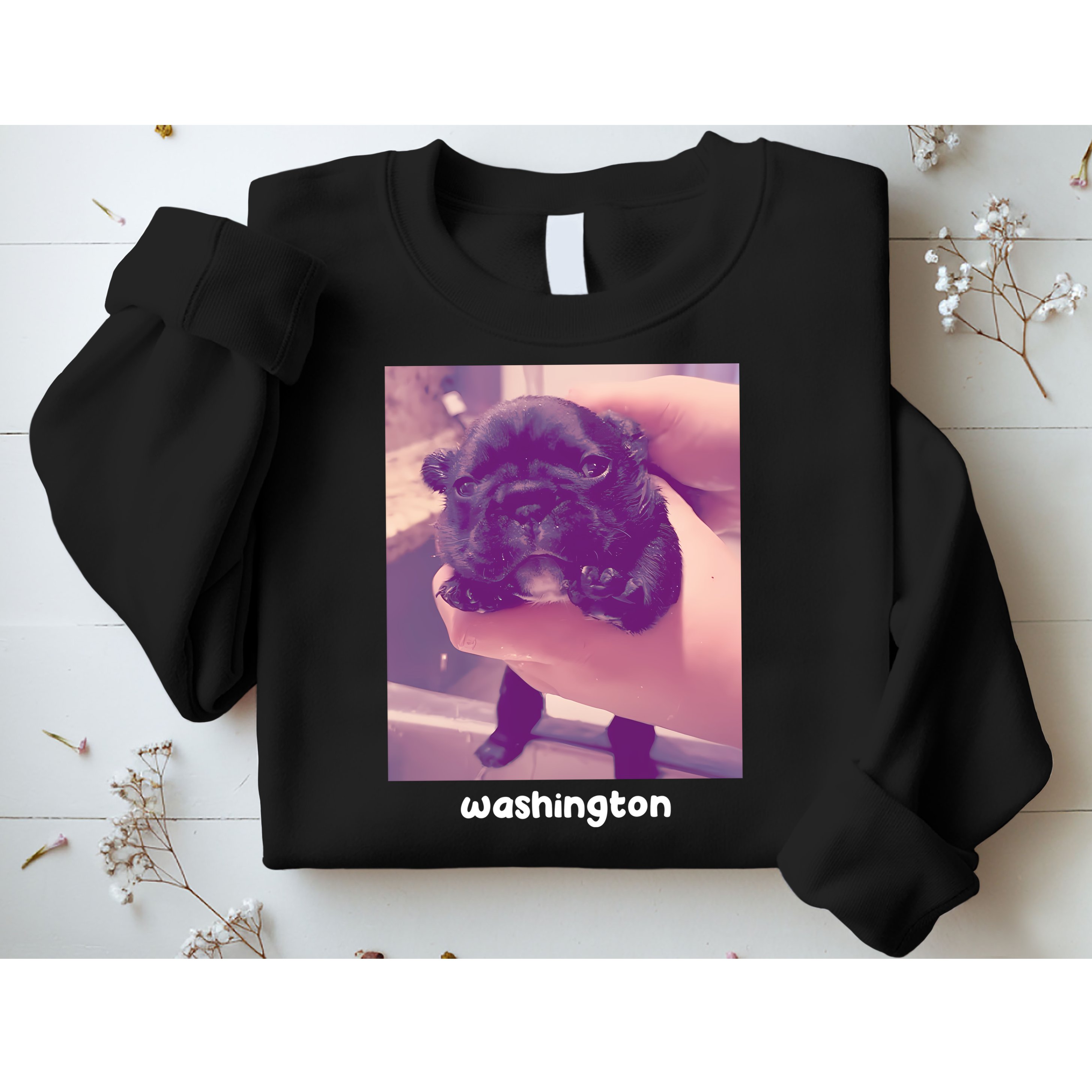 Pibble Washington Sweatshirt