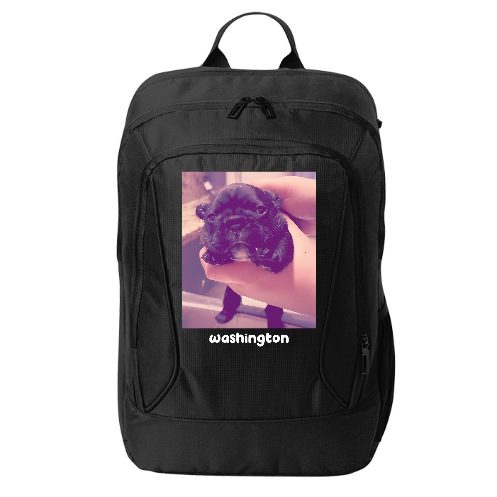 Pibble Washington City Backpack
