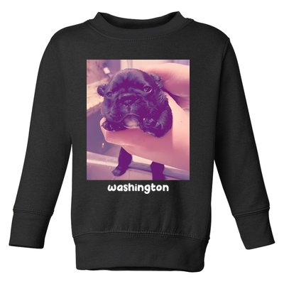 Pibble Washington Toddler Sweatshirt