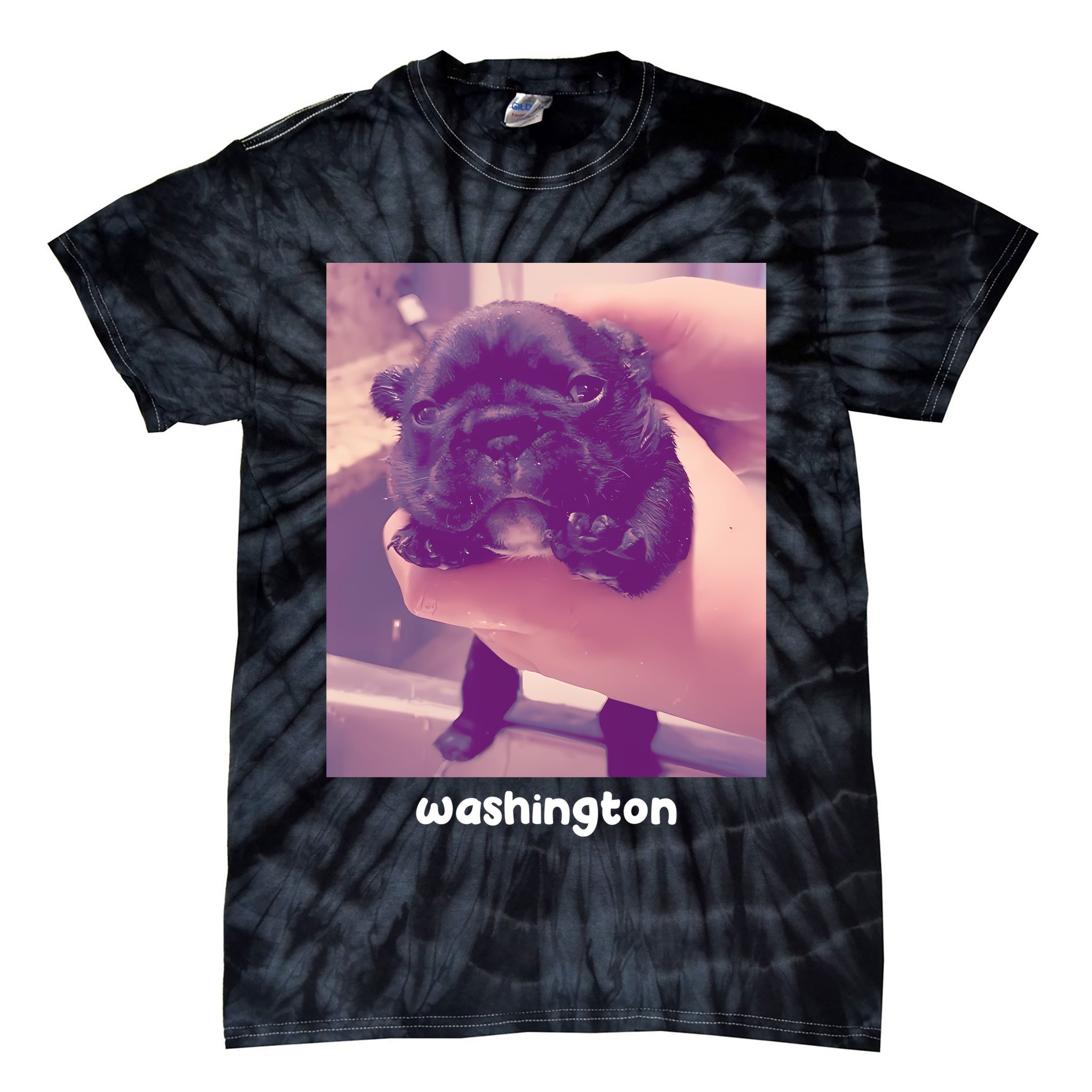 Pibble Washington Tie-Dye T-Shirt