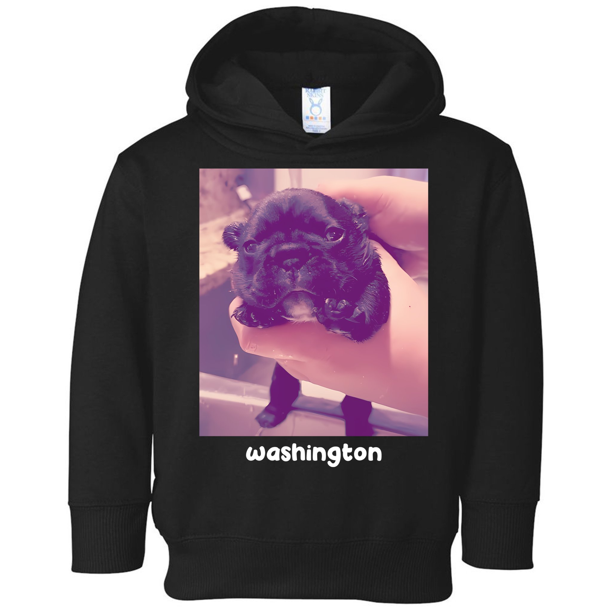 Pibble Washington Toddler Hoodie