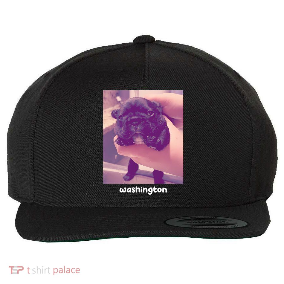 Pibble Washington Wool Snapback Cap