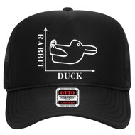 Philosophy Wittgenstein Rabbit Duck Illusion Hat