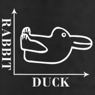 Philosophy Wittgenstein Rabbit Duck Illusion Hat