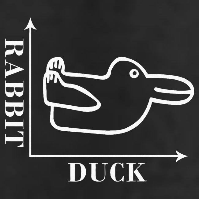 Philosophy Wittgenstein Rabbit Duck Illusion Hat