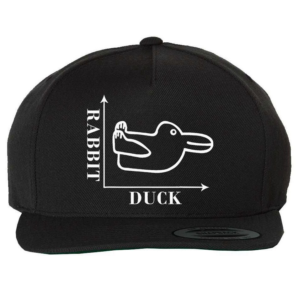 Philosophy Wittgenstein Rabbit Duck Illusion Wool Snapback Cap