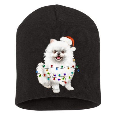 Pomeranian White Santa Christmas Tree Lights Xmas Dog Lover Short Acrylic Beanie