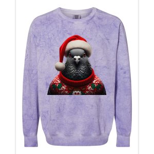 Pigeon With Santa Hat Christmas Xmas Bird Lover Owner Funny Colorblast Crewneck Sweatshirt