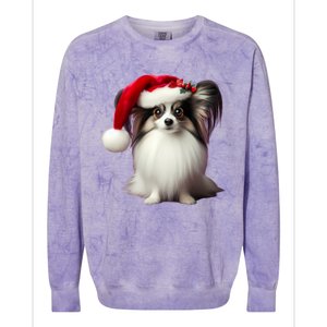 Papillion With Santa Hat Christmas Xmas Dog Owner Mom Dad Funny Gift Colorblast Crewneck Sweatshirt