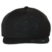 Physics Wormhole Time Travel Astrophysicists Wool Snapback Cap