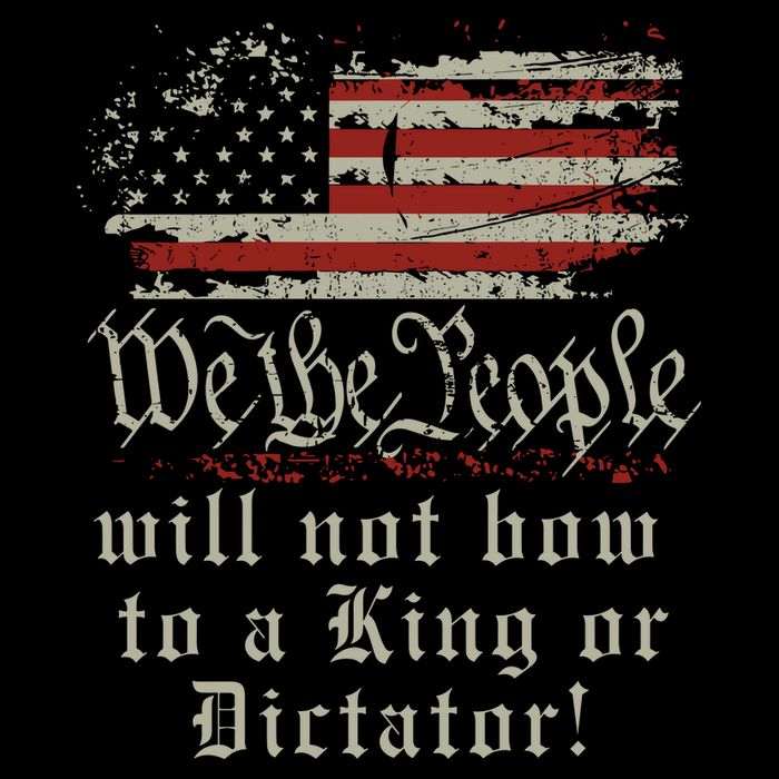 Patriotic We the people Will Not Bow to King or Dictator T-Shirt