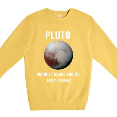 Pluto We Will Never Forget Gift Premium Crewneck Sweatshirt