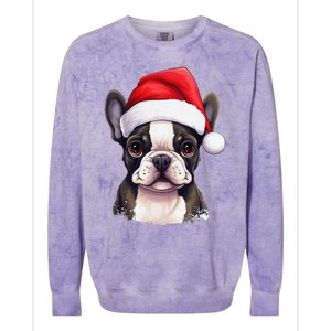 Pug Xmas Decoration Santa Hat Dog Christmas Funny Pug Colorblast Crewneck Sweatshirt