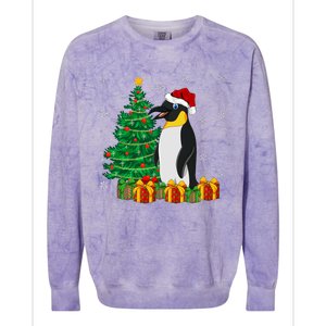 Penguin Xmas Tree Lighting Santa Penguin Christmas Colorblast Crewneck Sweatshirt