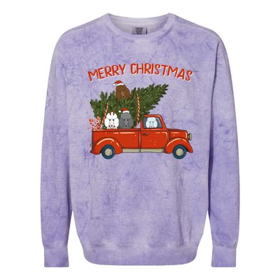 Poodle Xmas Vintage Red Pickup Retro Truck Gift Colorblast Crewneck Sweatshirt