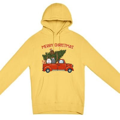 Poodle Xmas Vintage Red Pickup Retro Truck Gift Premium Pullover Hoodie