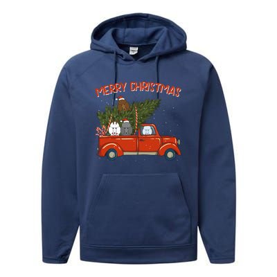 Poodle Xmas Vintage Red Pickup Retro Truck Gift Performance Fleece Hoodie