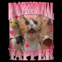 Professional Yapper Cat Funny Oddly Specific Dank Meme Mousepad