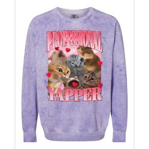 Professional Yapper Cat Funny Oddly Specific Dank Meme Colorblast Crewneck Sweatshirt